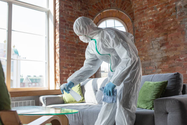 Why You Should Choose Our Mold Remediation Services in Whiteville, TN